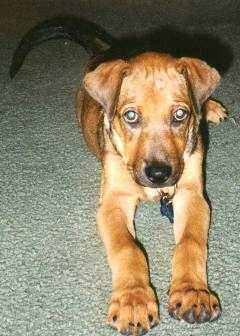 Chaney's baby picture