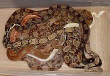 Group Photo
