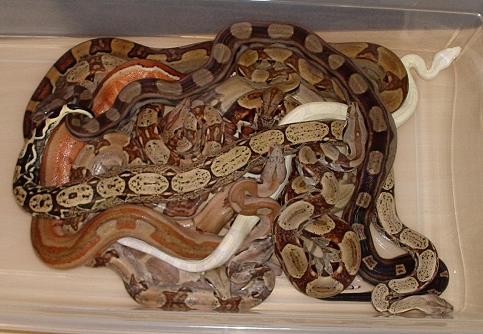 Group Photo