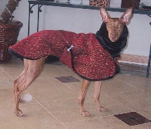 Flames coat