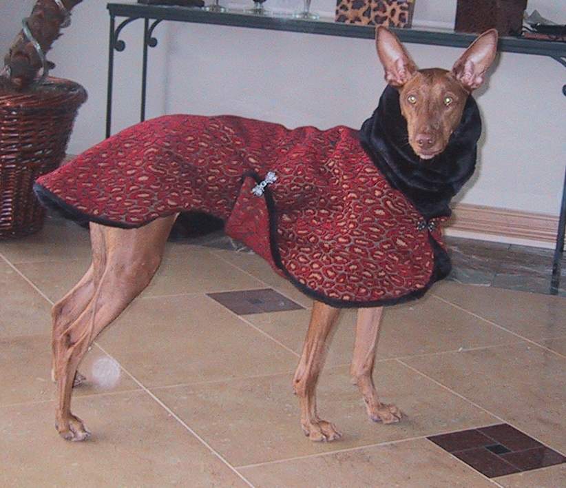Flames coat