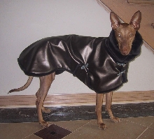 Kaze's manteau