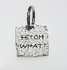 fetch what