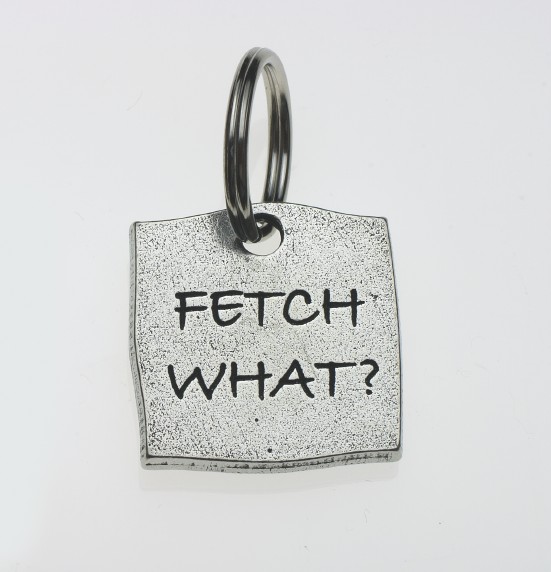 fetch what
