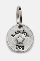 lucky dog