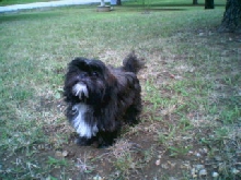 Molly