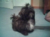 Molly