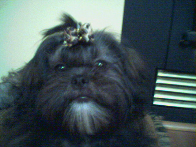 Molly