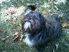 Molly