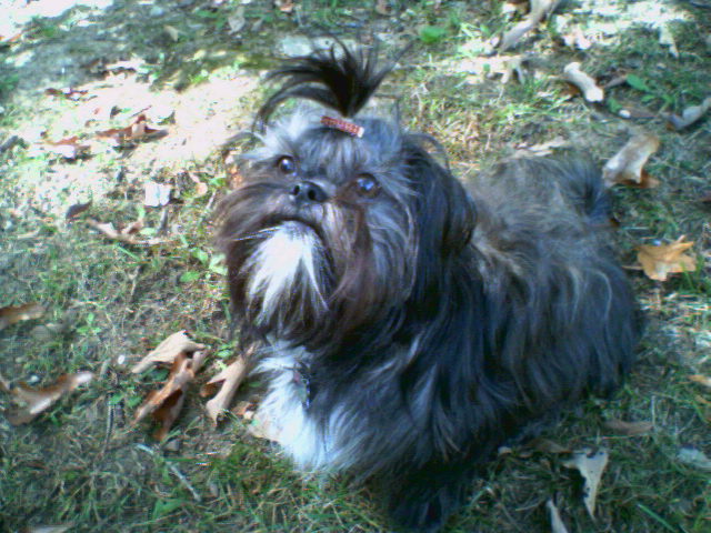 Molly