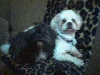 Molly and Trey
