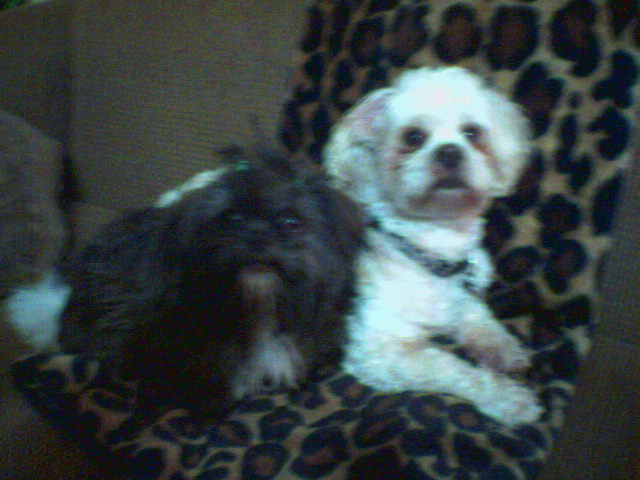 Molly and Trey