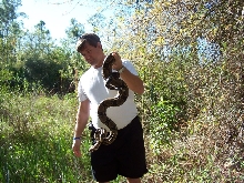 found boa