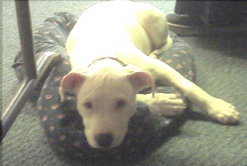 new to our family