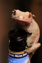 Mmm....beeeeeeeer.....