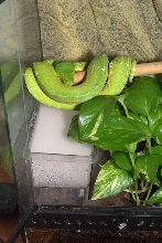 GTP Setup