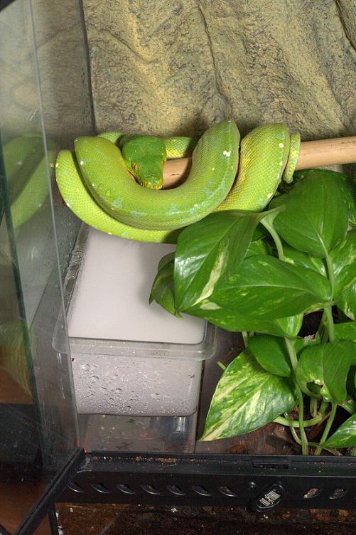 GTP Setup