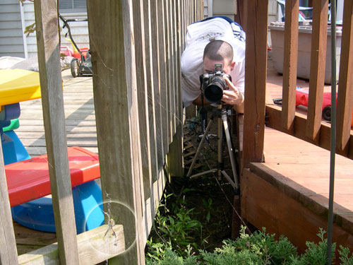 Anything for the shot