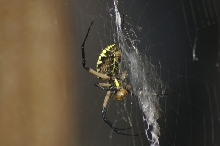 Eating