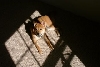 Tsuki--in window sun