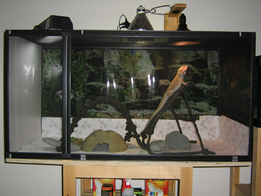Whole Cage