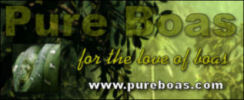bannerke