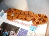 newsalmon1