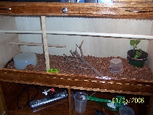 MBK cage