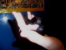 Hand feeding