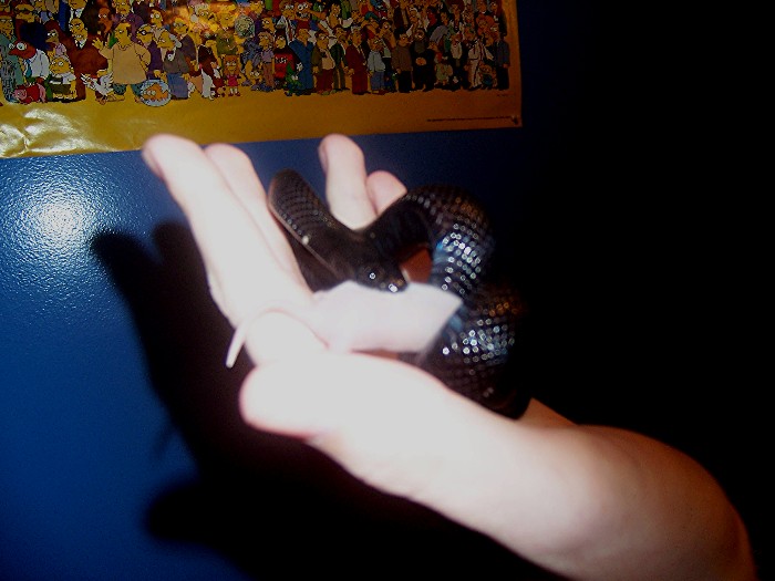 Hand feeding