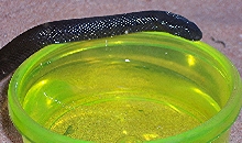 Mexican Black Kingsnake