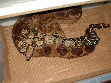 Het VPI x Hypo