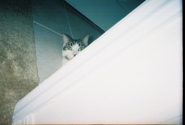 Peek-a-Boo