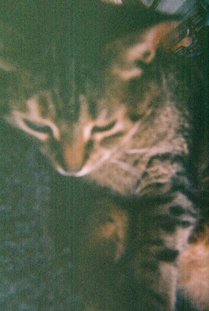 Cleo again