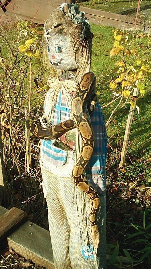 scared scarecrow