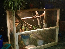 my boa constrictor cage