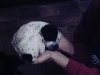 brice
