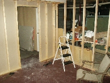Herp Room - During 2