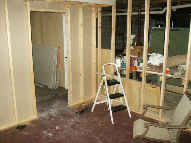 Herp Room - During 2