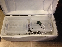 Incubator inside 2