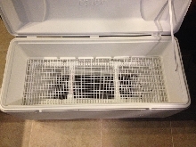 Incubator inside 1