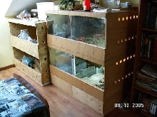 old and new cages together