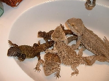 Bath Time