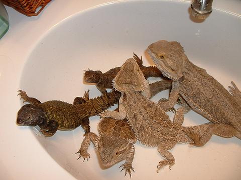 Bath Time