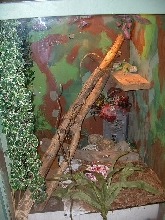 Keagan's Habitat