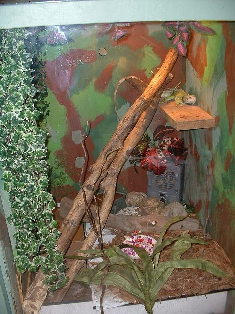 Keagan's Habitat