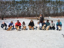 Sushi and his Shiba pals