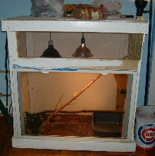 My Iguana Cage That I Built