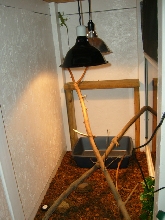 Side View Of My Cage