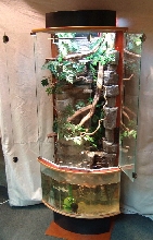 Aquaterrarium